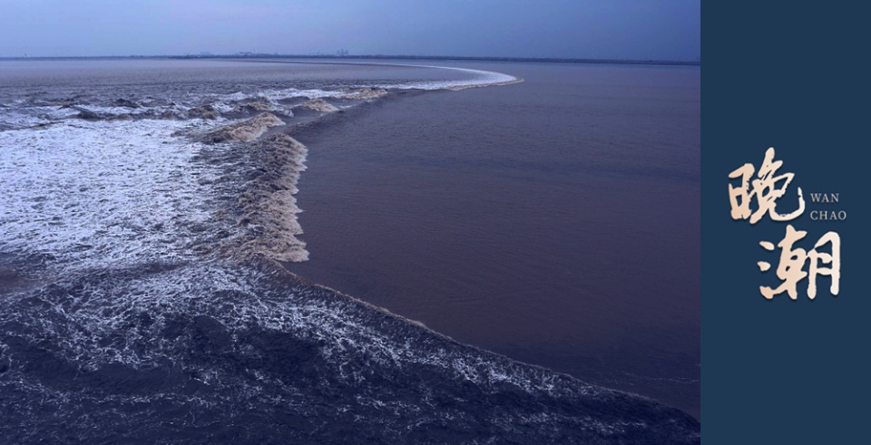 量都不够专, 红衣球迷离