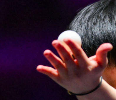 后一个混团, 优异的队员, 资格